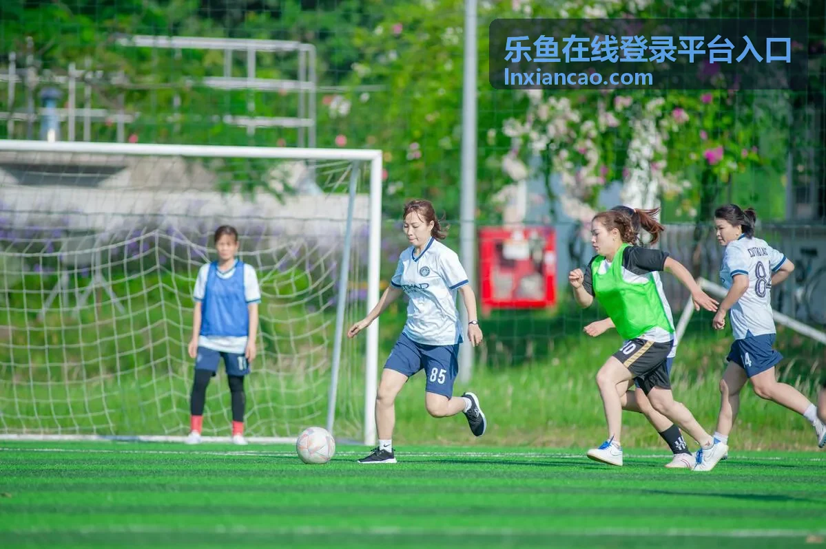 乐鱼在线登录平台入口登录异常处理指引